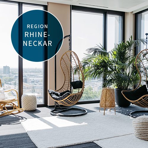 Region-Rhine-Neckar